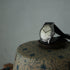CERTINA / KS-498
